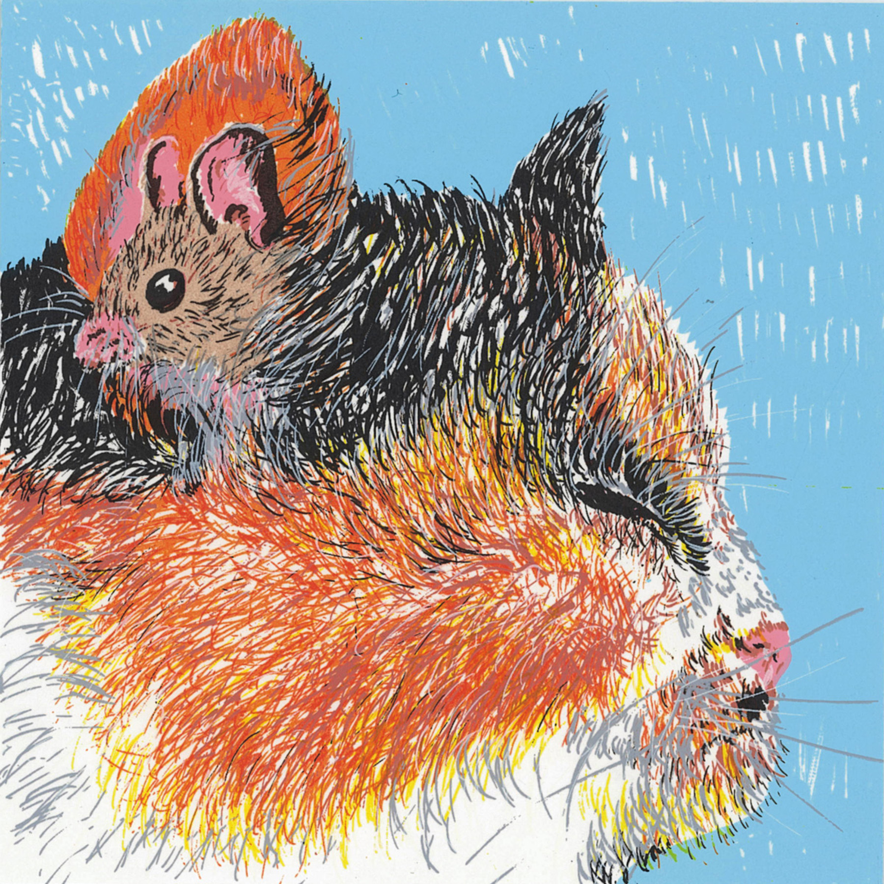 Is cróga an luch a dhéanann a nead i gcluas cait (It’s a brave mouse that nestles in a cat’s ear)